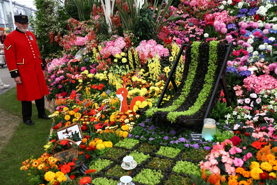 Выставка цветов в Челси Лондон Великобритания