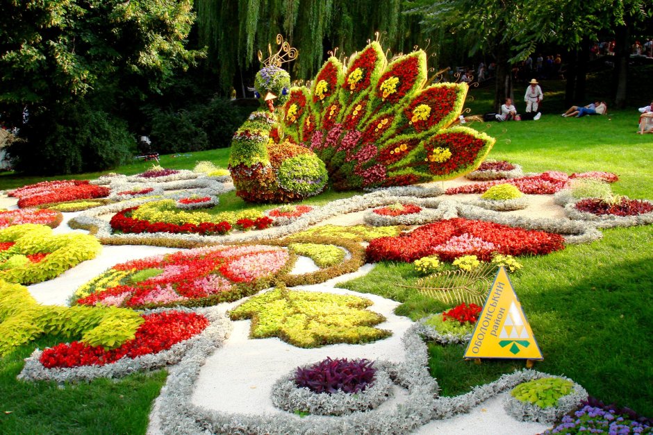 Фестиваль цветов Азербайджан