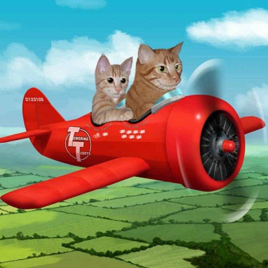 Котик самолетик