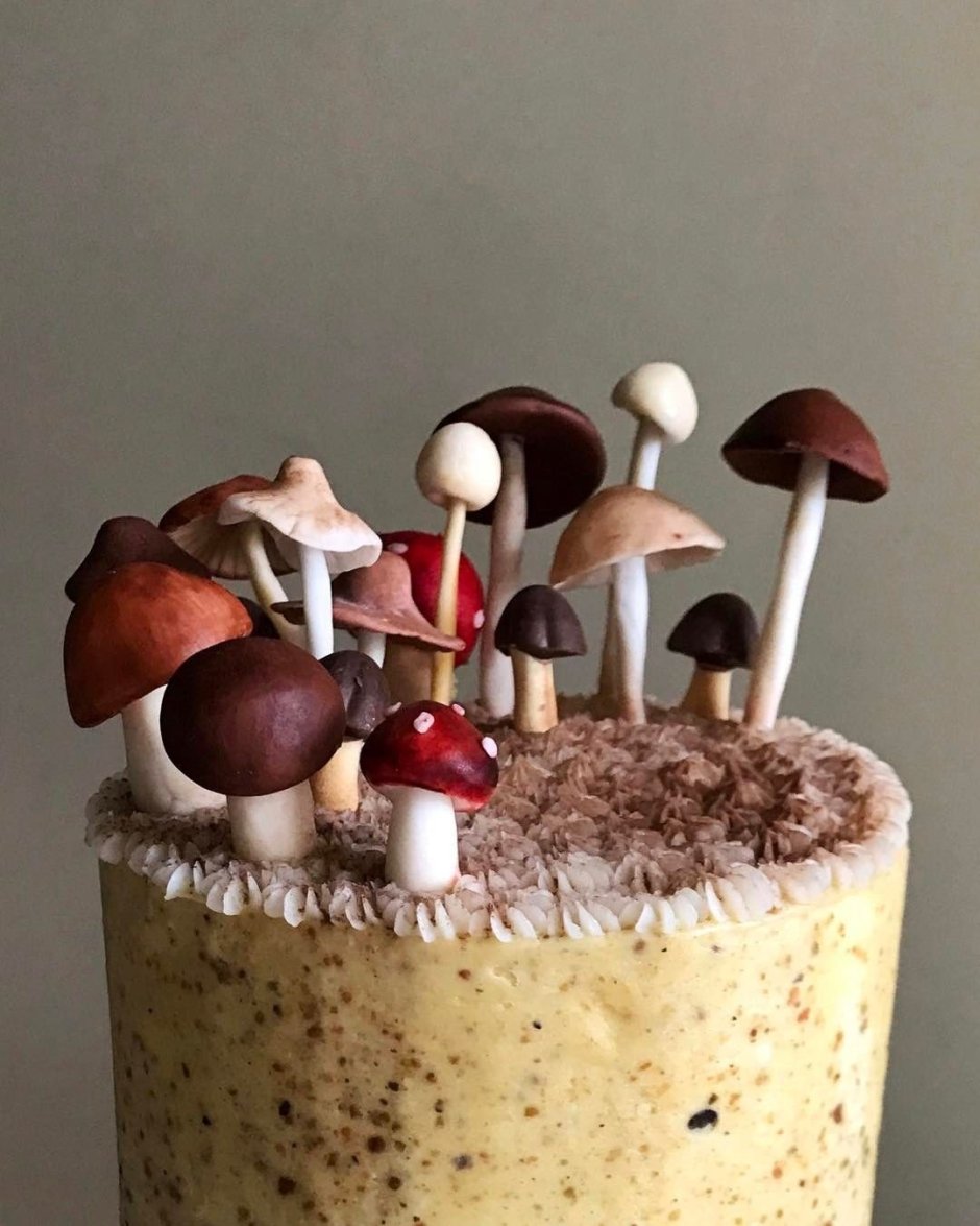 Украшение торта грибочками