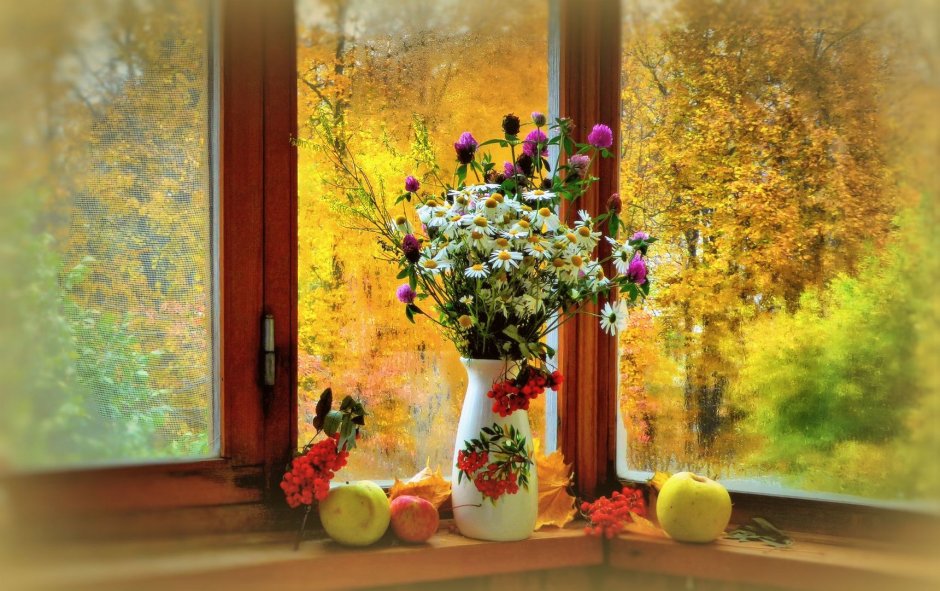 Осенний вид из окна