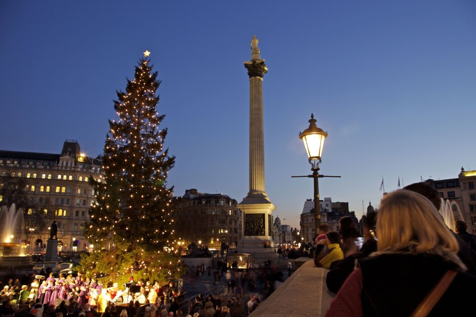 Christmas Tree in London Trafalgar Square
