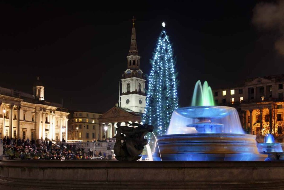 Ёлка в Лондоне на Рождественский праздник 2020 Трафальгарская площадь
