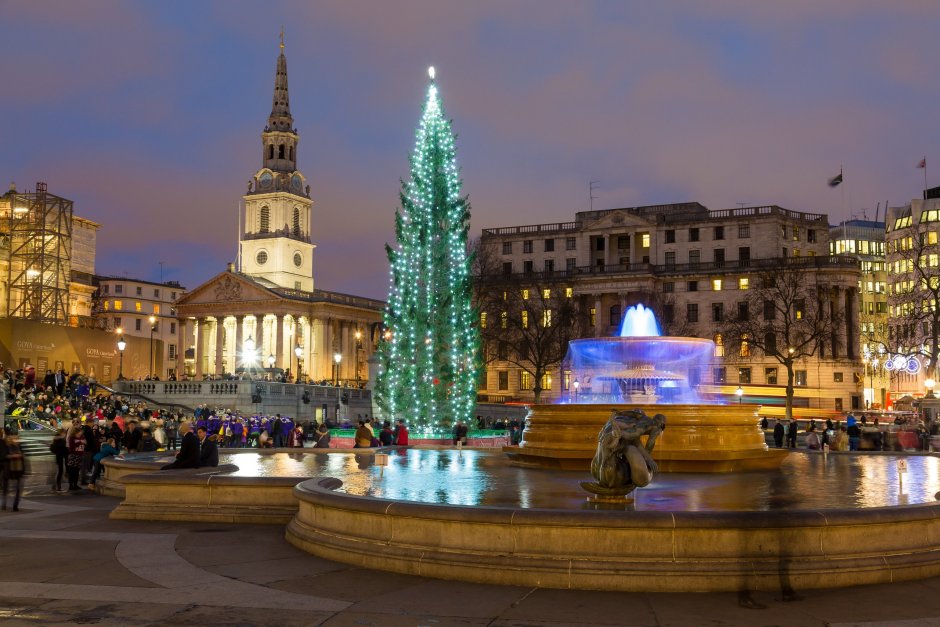 Christmas Tree at Trafalgar Square