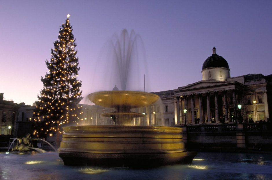 Рождественская елка в Лондоне на Трафальгарской площади