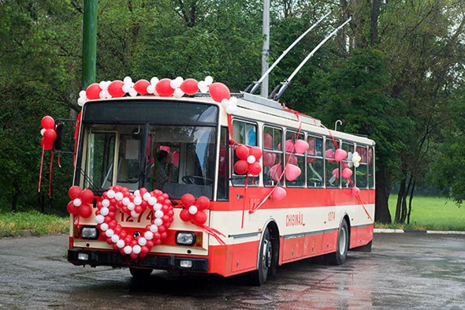 Украшение свадебного автобуса