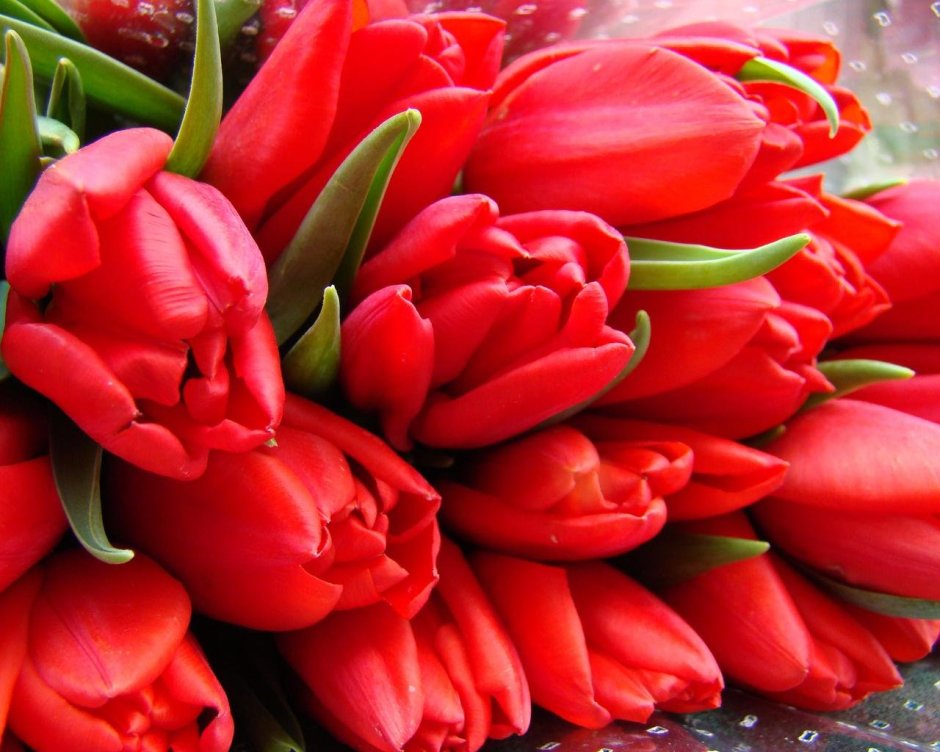 Поздравляю с 8 марта тюльпаны