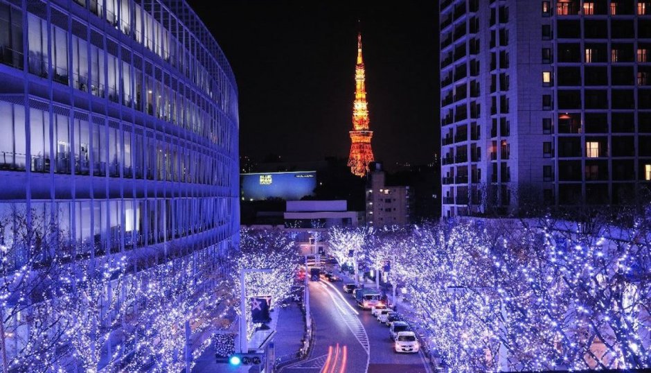 Новый год в Японии в Токио