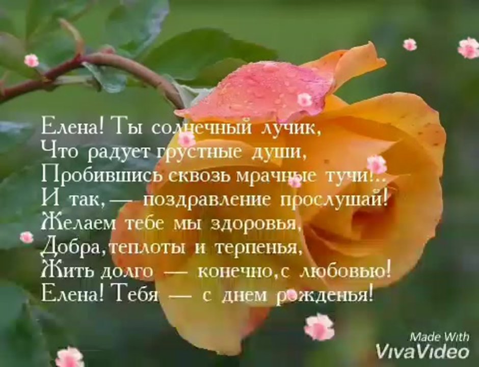 Поздравления с днём рождения женщине Елена Ивановна