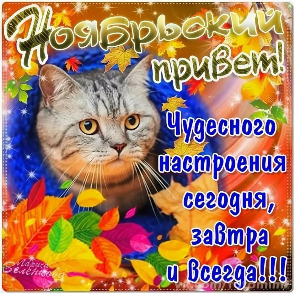 С первым днем ноября