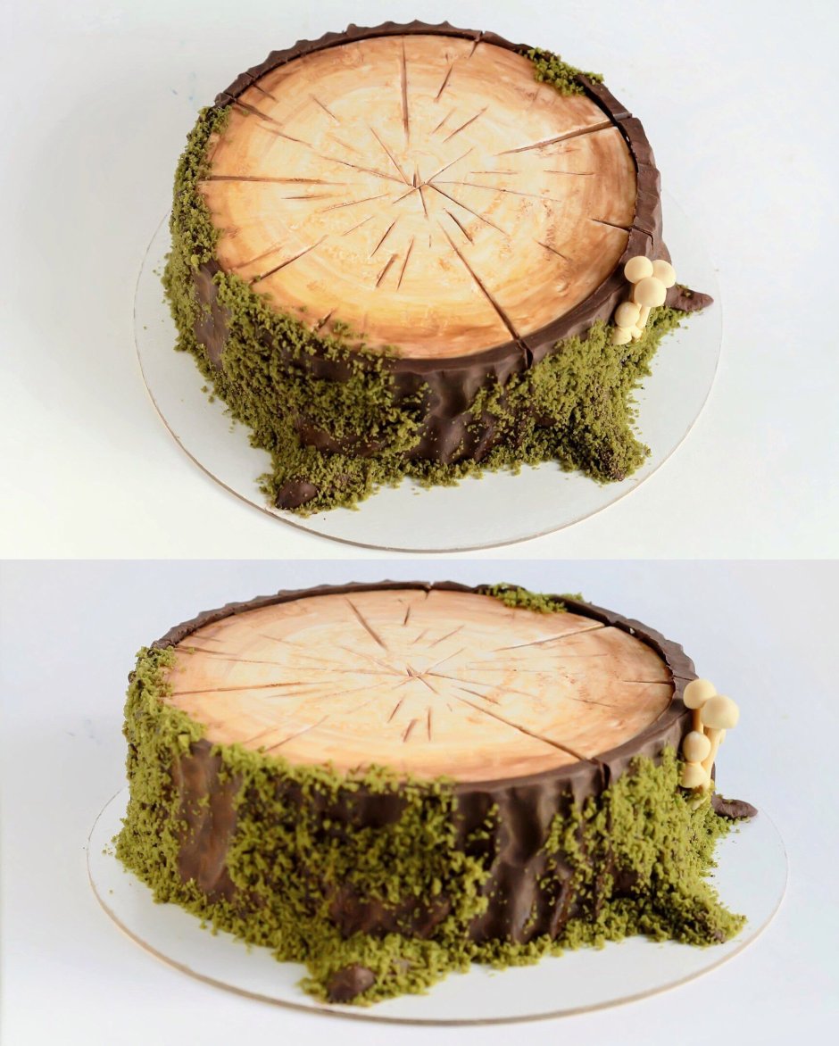 Торт с грибочками