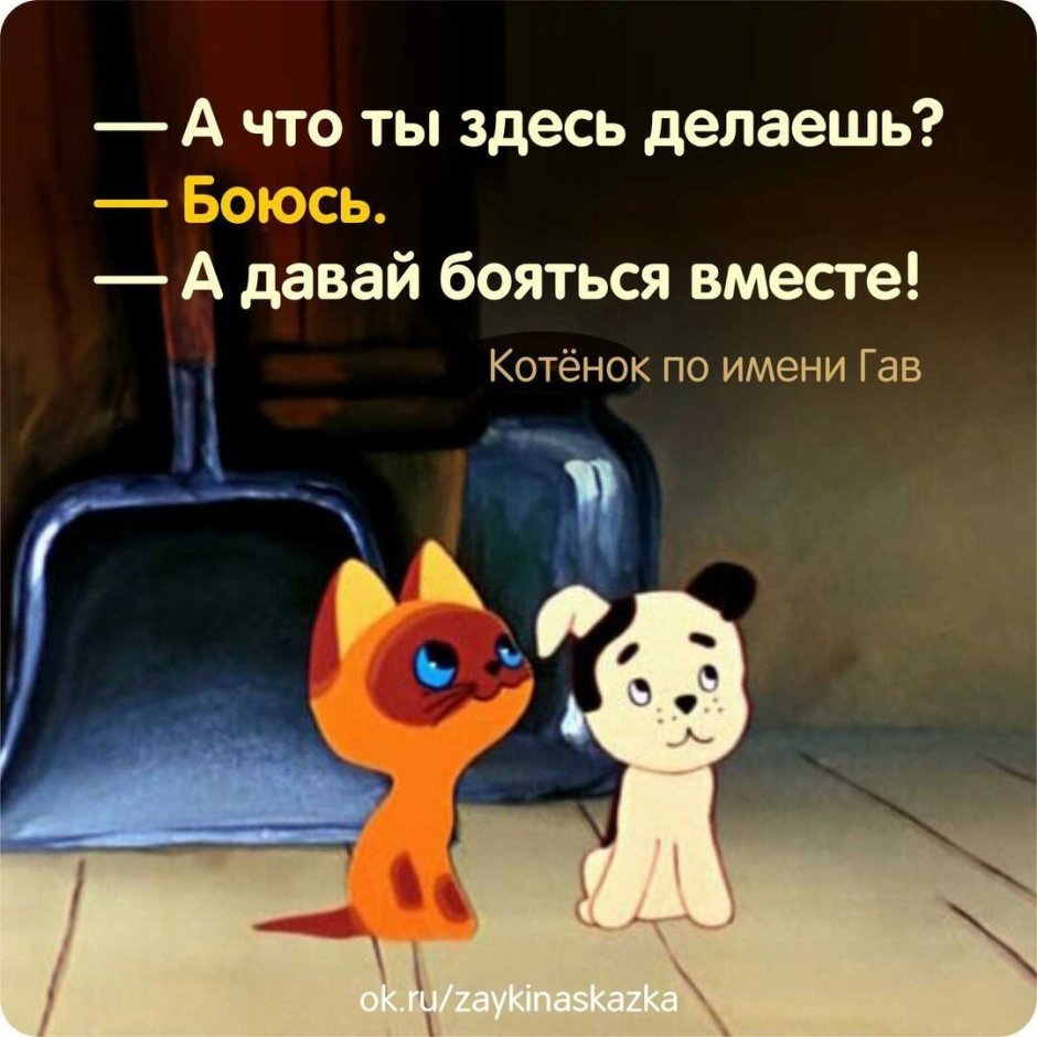 Котенок по имени Гав