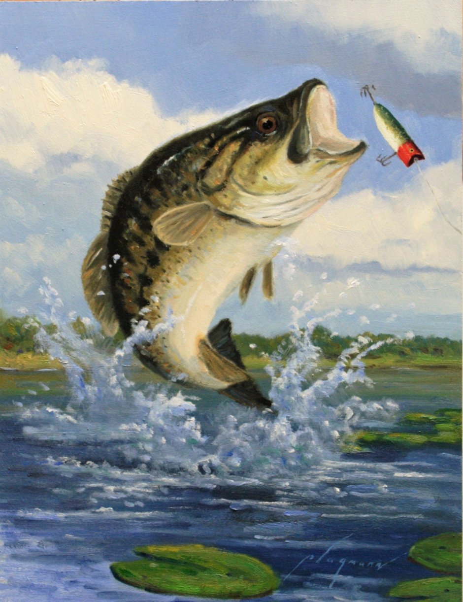 Удачная рыбалка