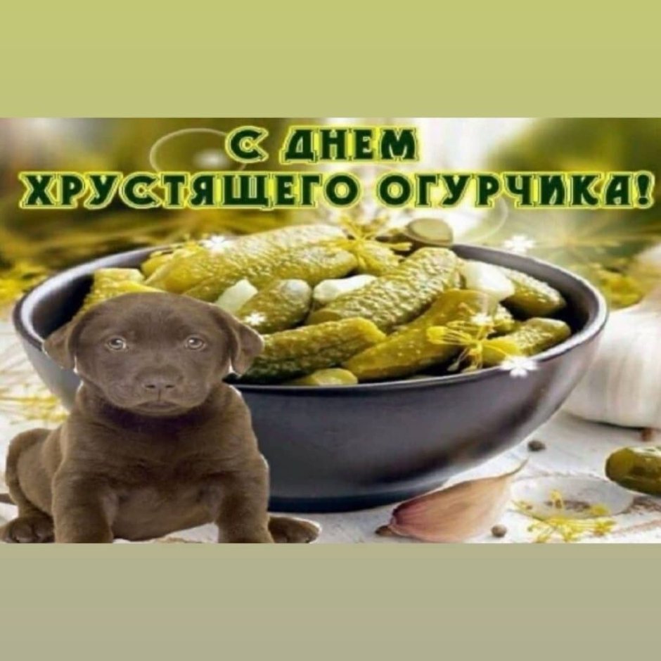 Дюк мясокомбинат Буденновск