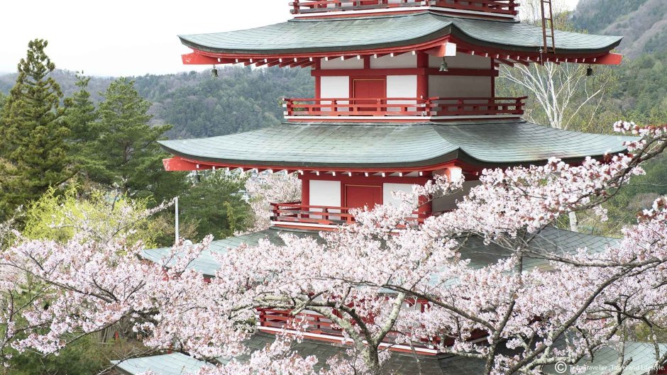 Япония Фудзияма Сакура храм