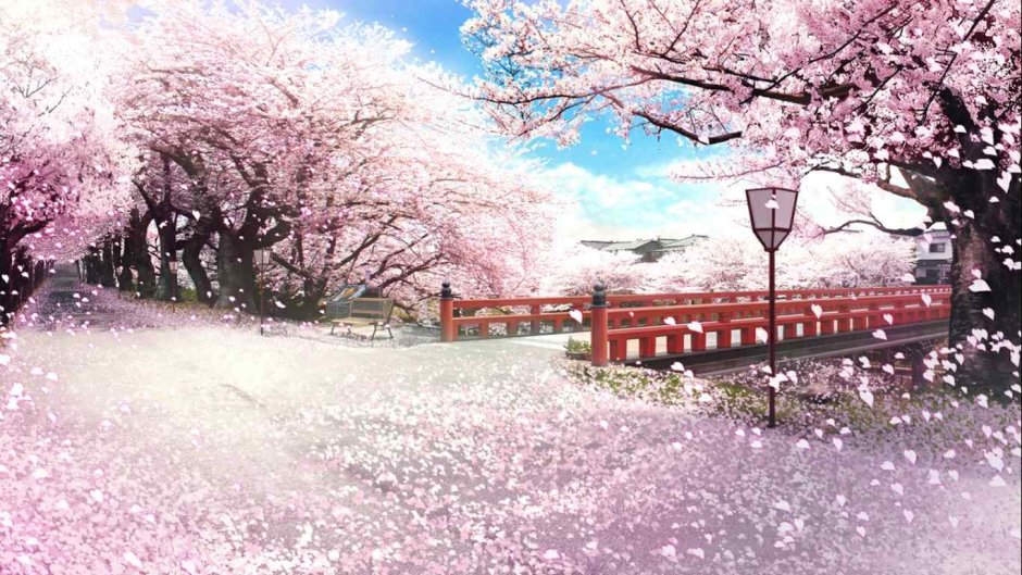 Весна в Японии аниме