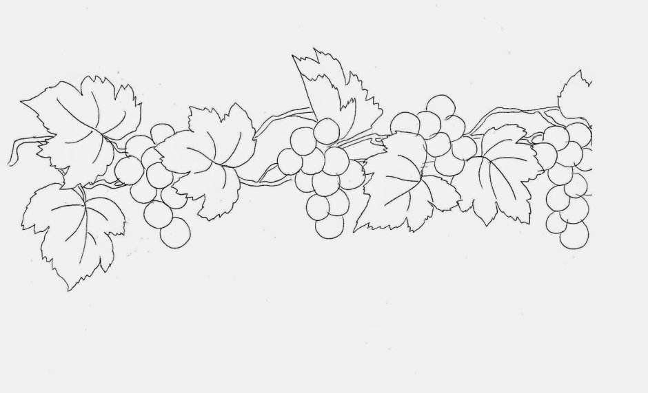 Виноградная лоза орнамент