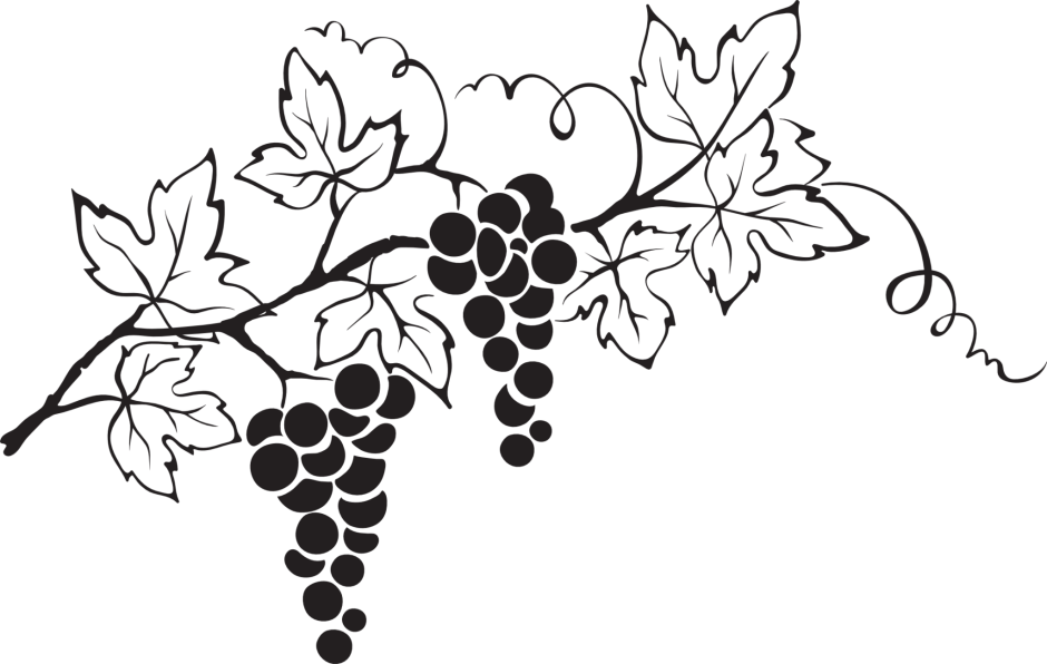 Виноградная лоза орнамент