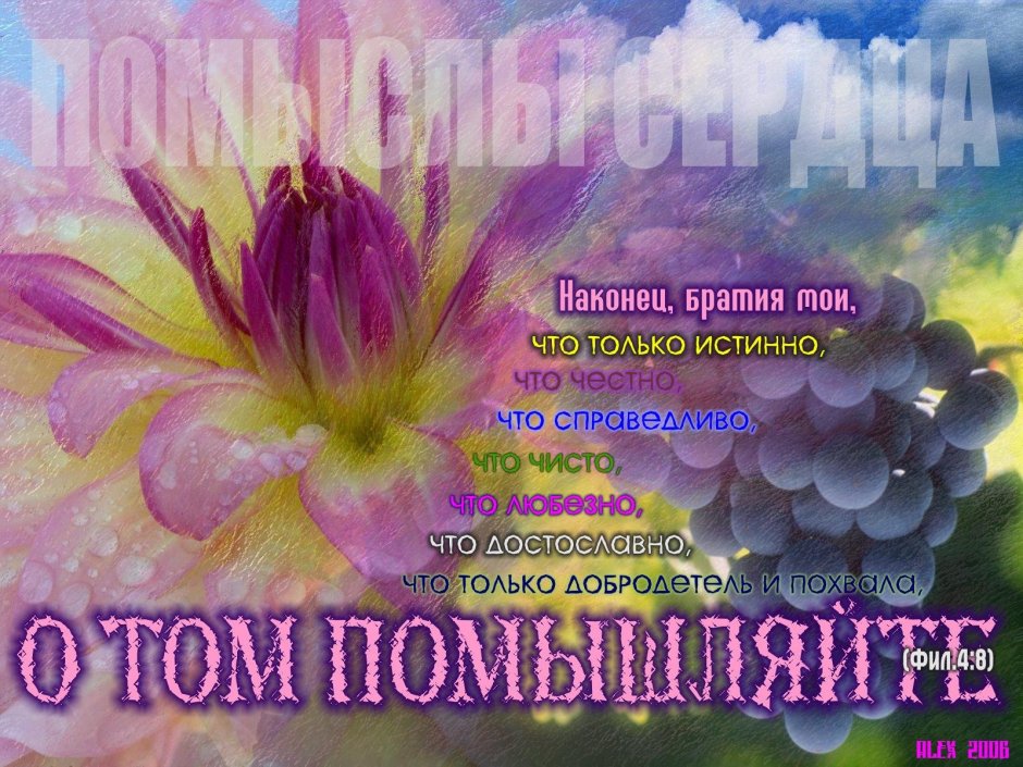 С днём рождения мужчинеприрода