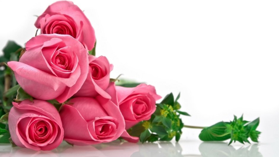 Розовые тюльпаны нежный фон