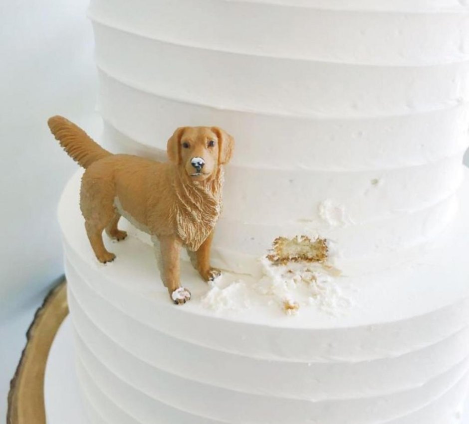 Свадебный торт с собачкой