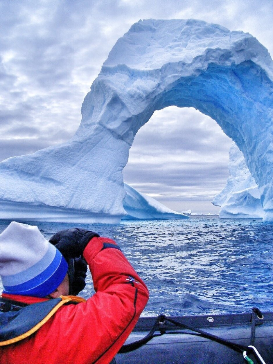 Антарктида для детей