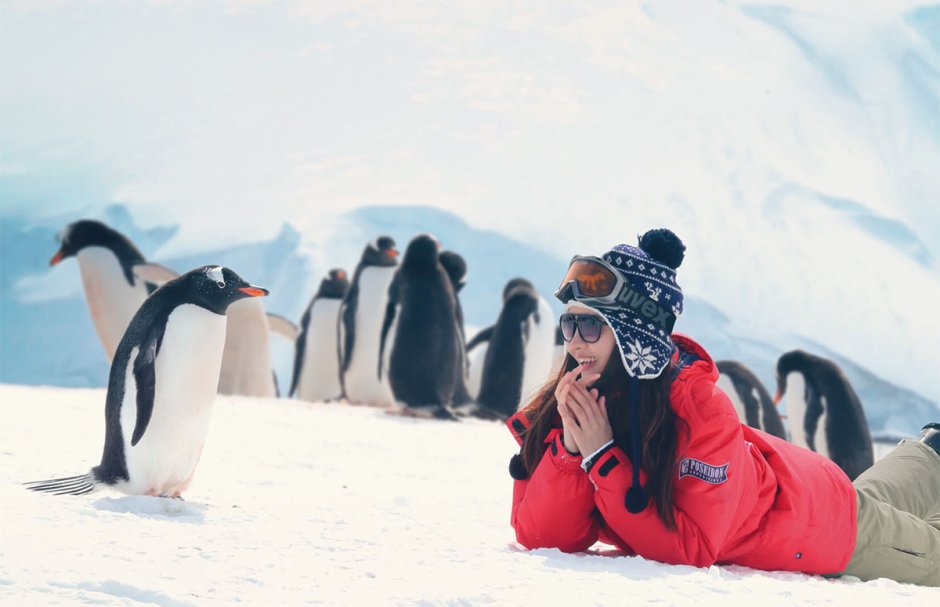 Кто в Антарктиде-то на немецком говорит Мем