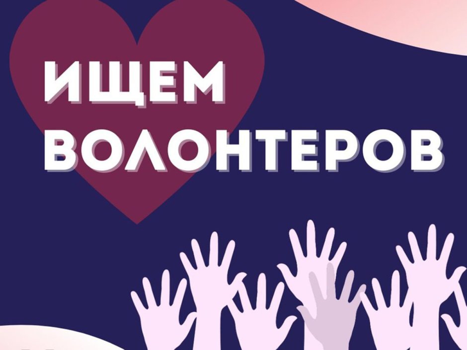 Молодёжные организации в России