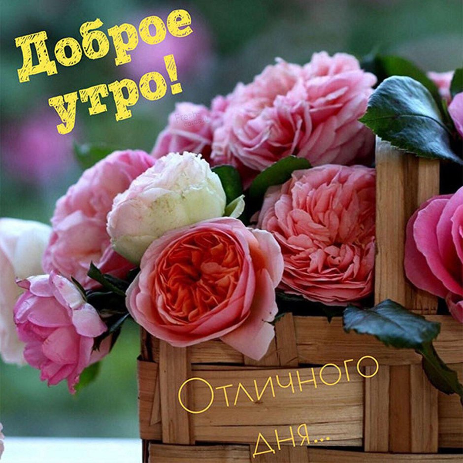 Доброе утро с пионамиами