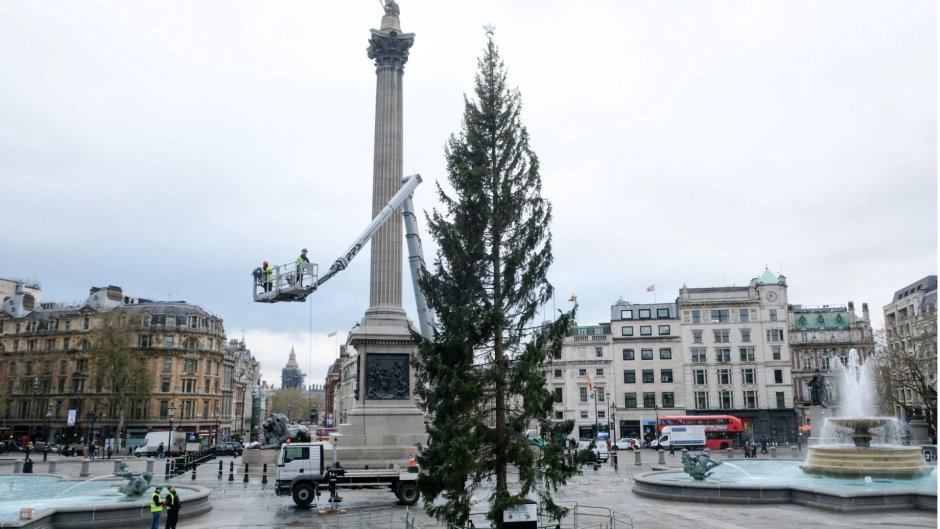 Трафальгарская площадь в Лондоне в Рождество каток