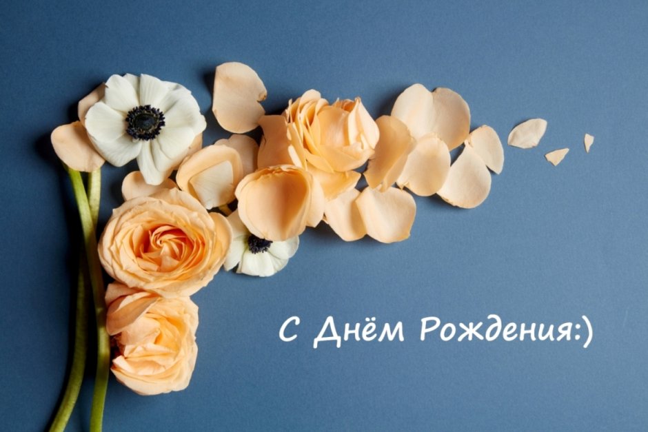 С днем рождения Сканди