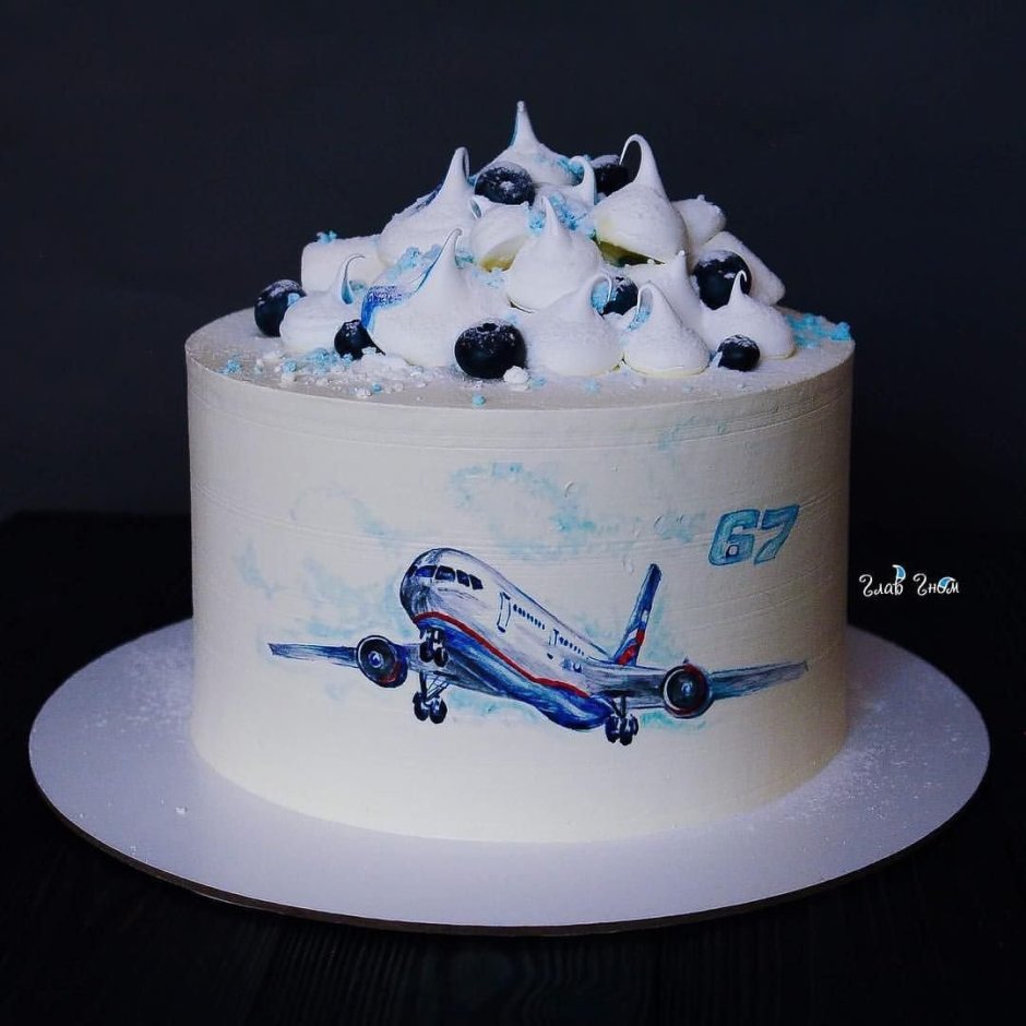 Торт с самолетом для мужчины