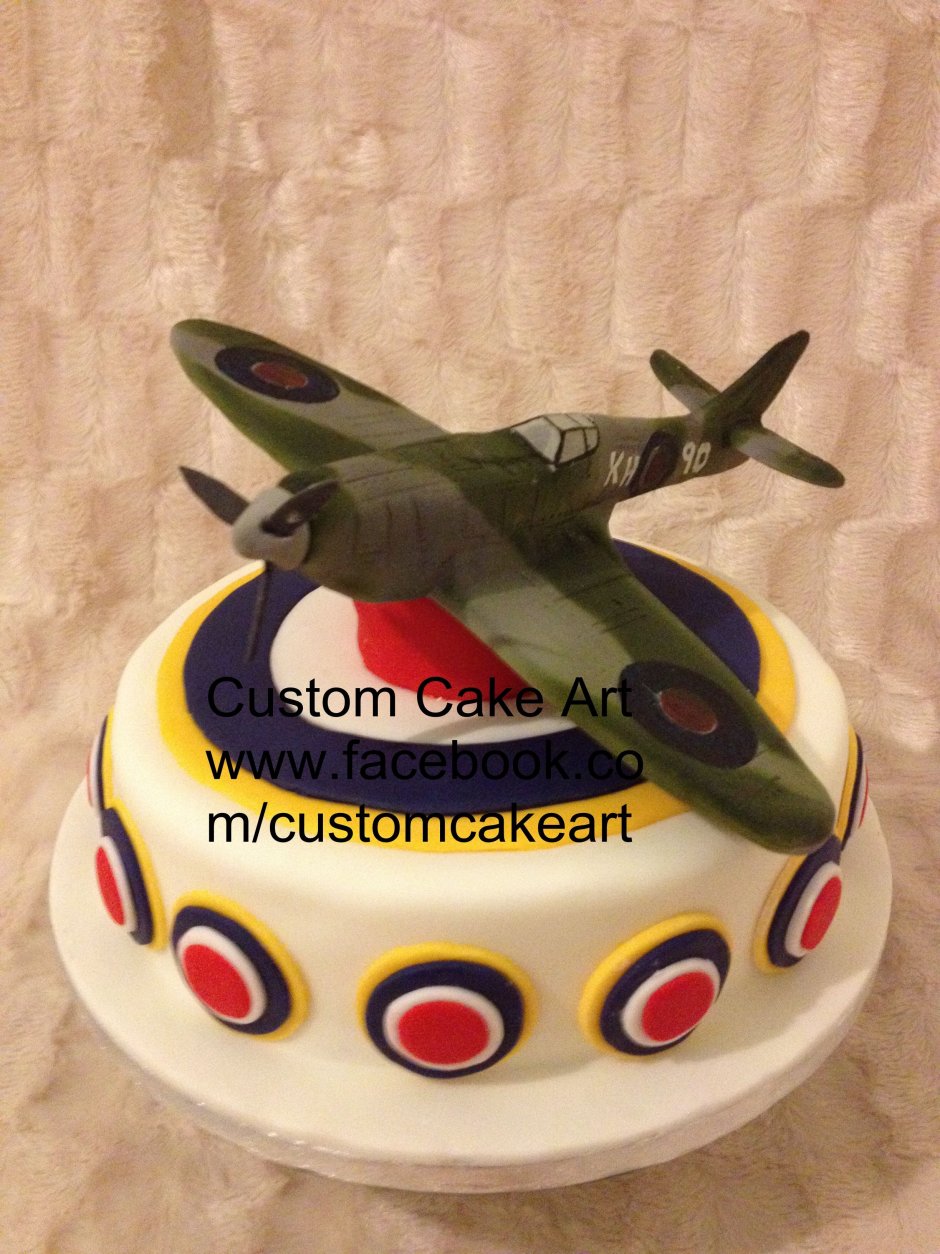Торт с военным самолетом