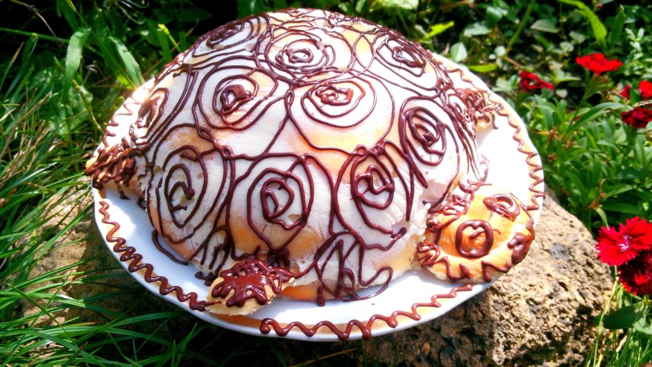 Сметанный торт черепаха