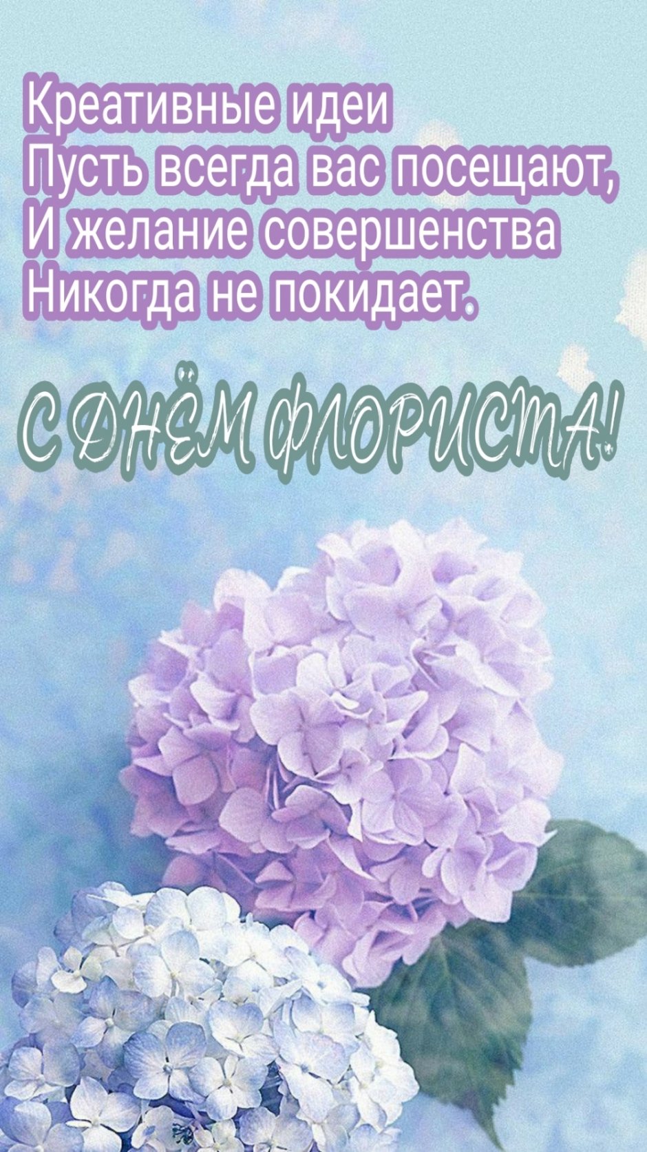 Нежная гортензия