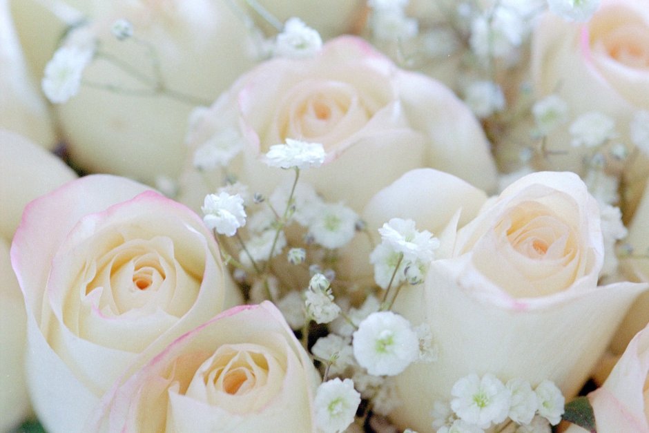 Белые розы и жемчуг