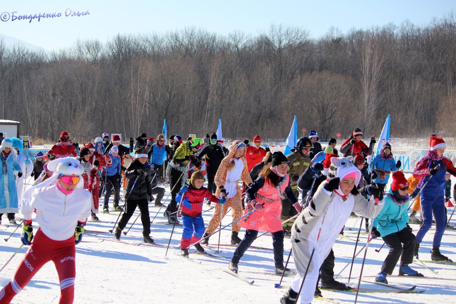 Лыжные гонки на зимних Олимпийских играх 2010