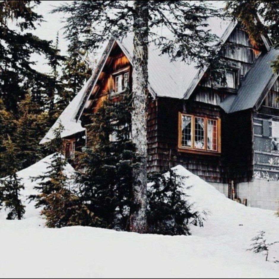 Загородный дом в лесу зимой