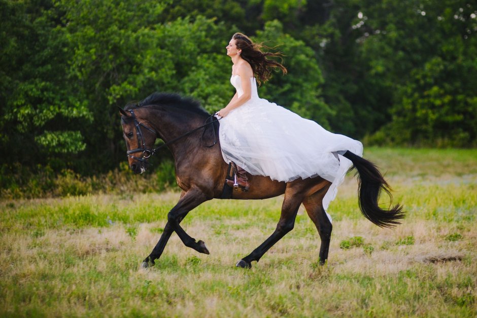 Свадебная фотосессия с конем