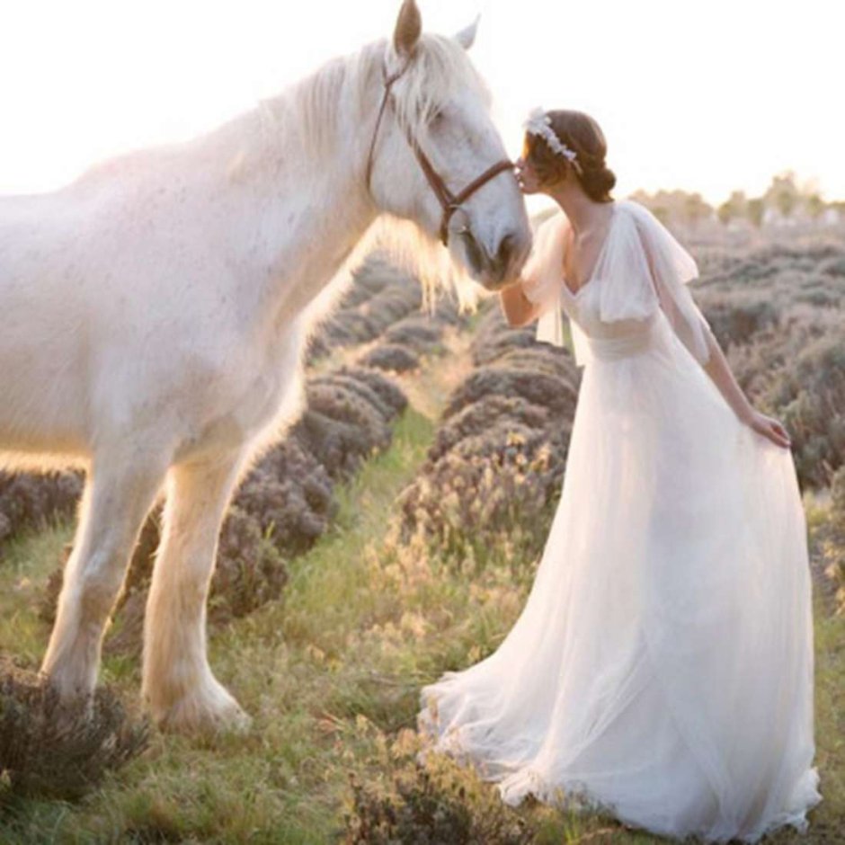Свадебная фотосессия с лошадьми летом