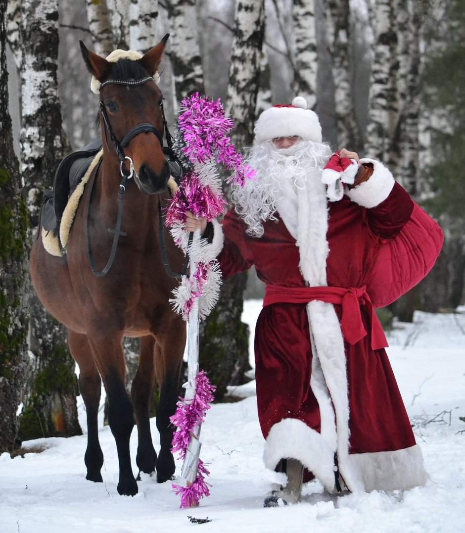 Дед Мороз на коне