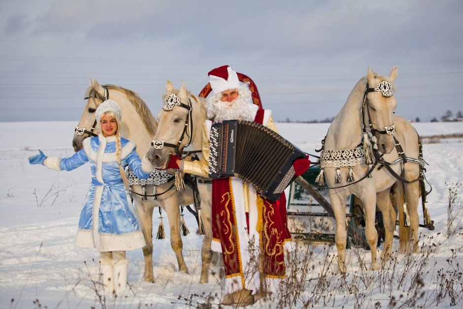 Новогодние лошадки