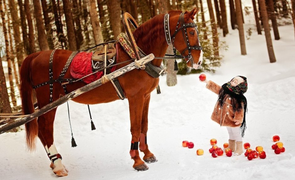 Новогодние обои на айфон с лошадью