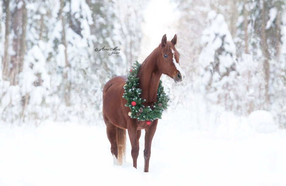 Breyer Новогодняя лошадь 2013