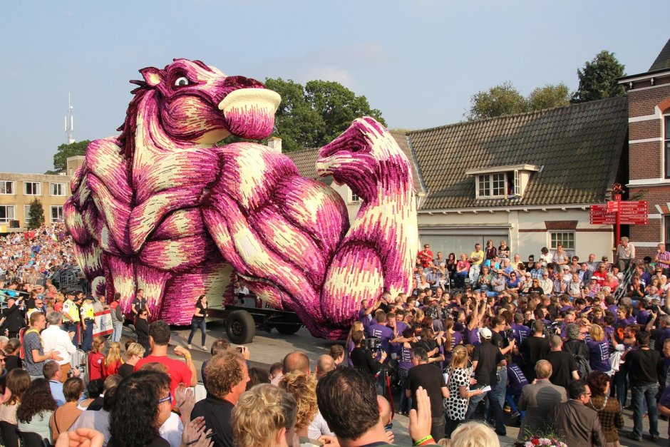 Цветочный фестиваль Bloemencorso в Нидерландах