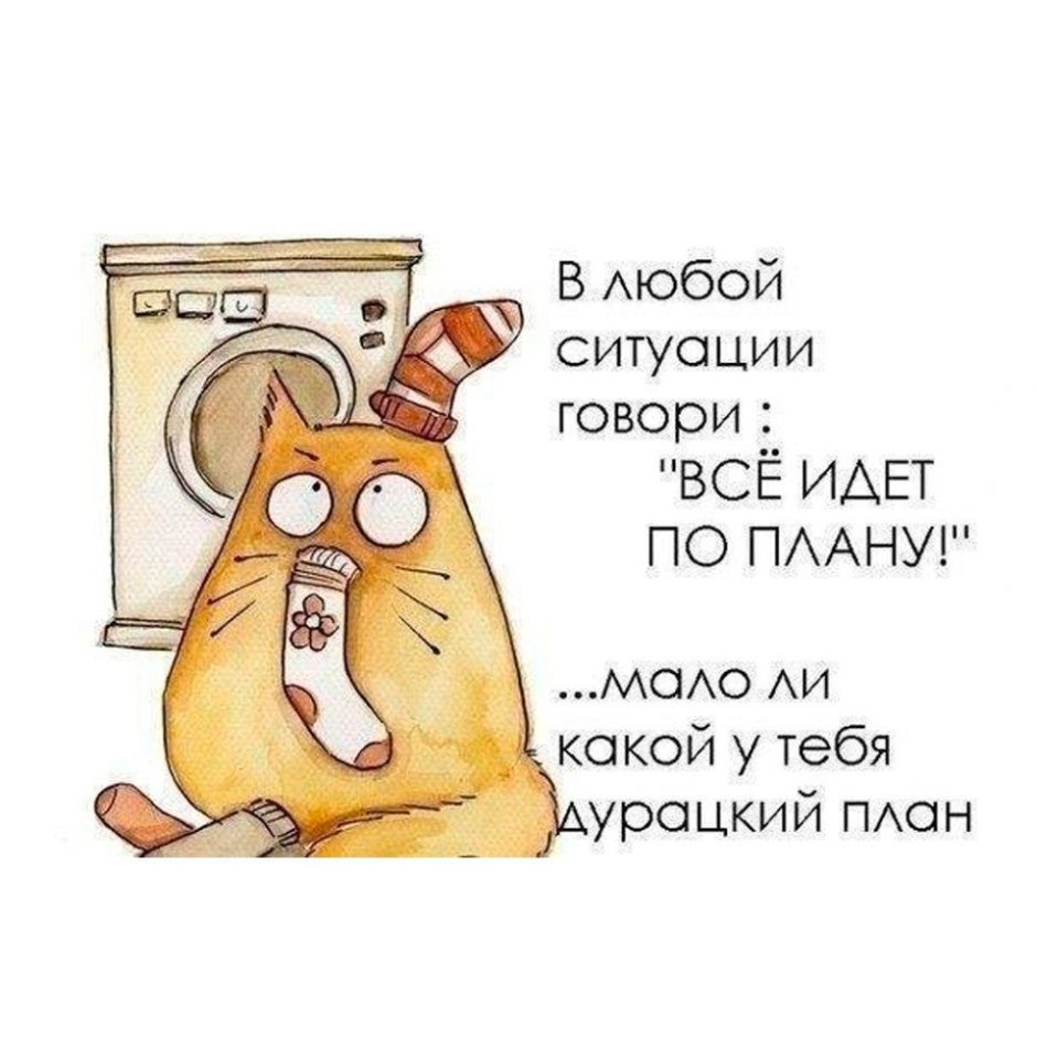 Прикольные Мотивирующие фразы