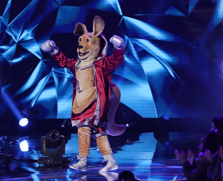 Шоу "the masked Singer" -2020