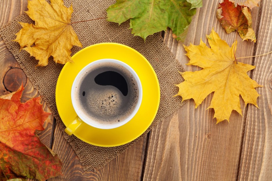 Осень Кружка кофе