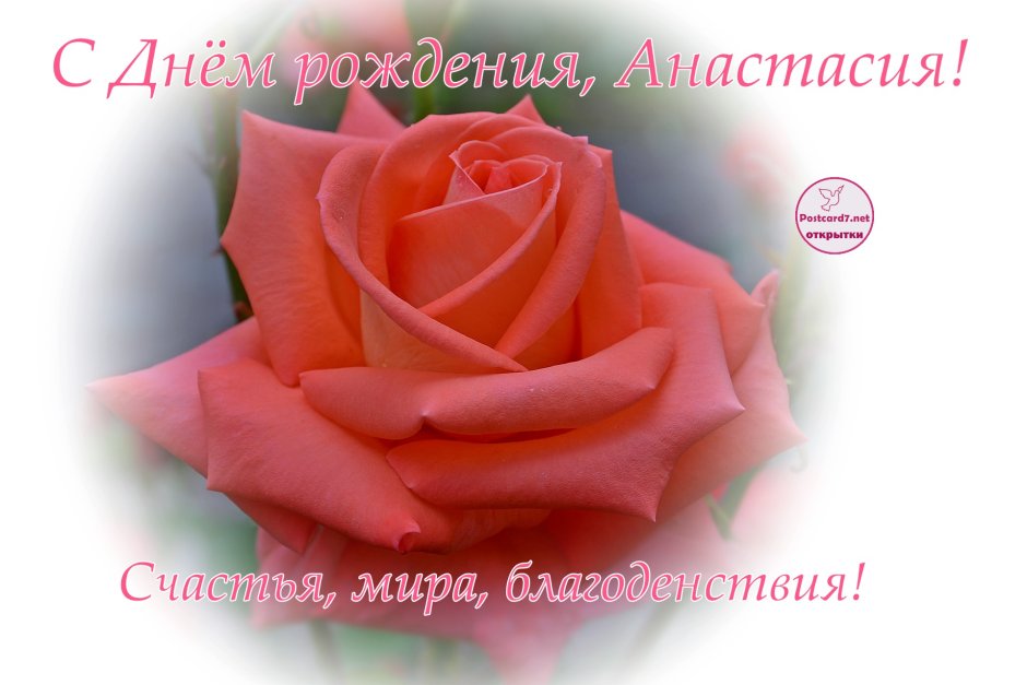 С днём рождения женщине розы