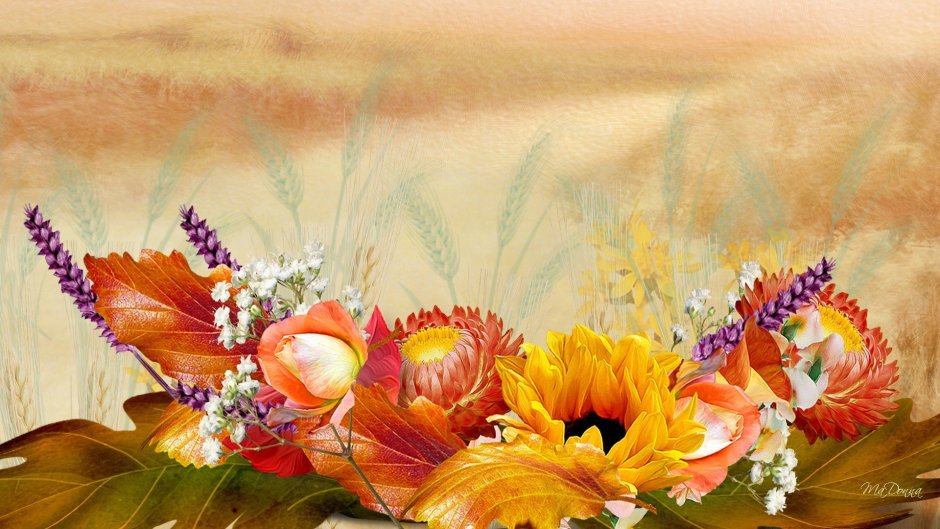 Фон для открытки с осенними цветами